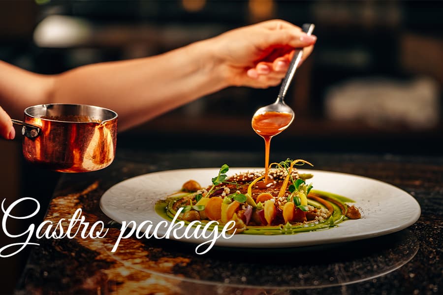 Gastro package